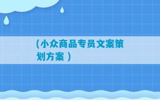 (小众商品专员文案策划方案 )