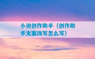 小说创作助手（创作助手文案改写怎么写）