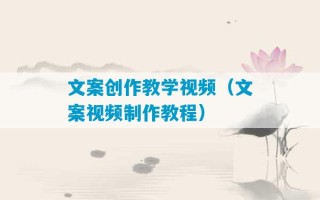 文案创作教学视频（文案视频制作教程）