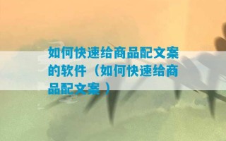 如何快速给商品配文案的软件（如何快速给商品配文案 ）