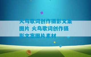 火鸟歌词创作摄影文案图片 火鸟歌词创作摄影文案图片素材