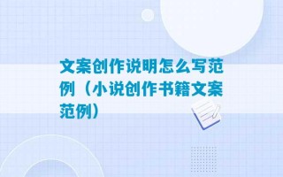 文案创作说明怎么写范例（小说创作书籍文案范例）