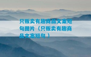 只贩卖有趣商品文案短句图片（只贩卖有趣商品文案短句 ）