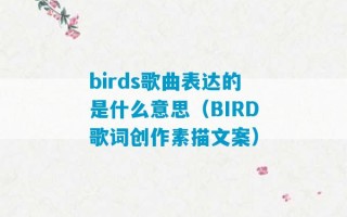 birds歌曲表达的是什么意思（BIRD歌词创作素描文案）