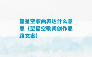 望星空歌曲表达什么意思（望星空歌词创作思路文案）