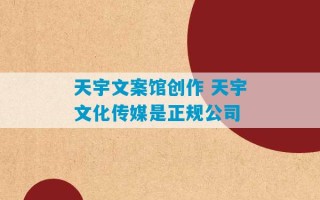 天宇文案馆创作 天宇文化传媒是正规公司