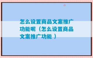 怎么设置商品文案推广功能呢（怎么设置商品文案推广功能 ）