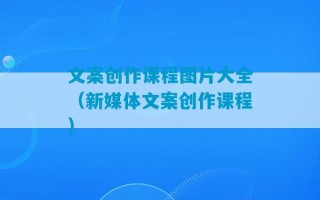 文案创作课程图片大全（新媒体文案创作课程）