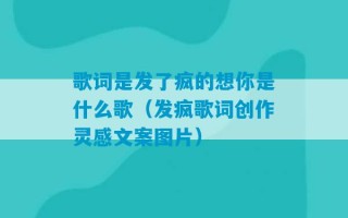 歌词是发了疯的想你是什么歌（发疯歌词创作灵感文案图片）