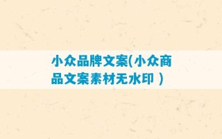 小众品牌文案(小众商品文案素材无水印 )