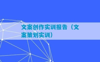 文案创作实训报告（文案策划实训）