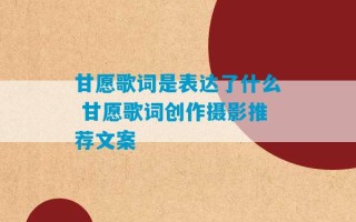 甘愿歌词是表达了什么 甘愿歌词创作摄影推荐文案