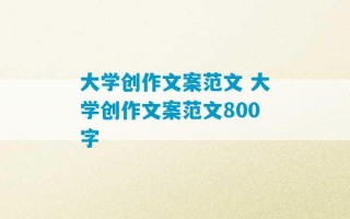 大学创作文案范文 大学创作文案范文800字