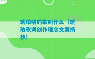 琥珀唱的歌叫什么（琥珀歌词创作理念文案摘抄）