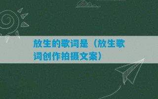 放生的歌词是（放生歌词创作拍摄文案）