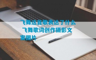 飞舞这首歌表达了什么 飞舞歌词创作摄影文案图片