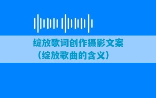 绽放歌词创作摄影文案（绽放歌曲的含义）