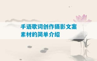 手语歌词创作摄影文案素材的简单介绍