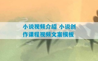 小说视频介绍 小说创作课程视频文案模板