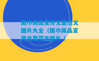 围巾商品宣传文案范文图片大全（围巾商品宣传文案范文图片 ）