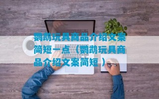 鹦鹉玩具商品介绍文案简短一点（鹦鹉玩具商品介绍文案简短 ）