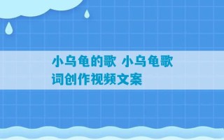 小乌龟的歌 小乌龟歌词创作视频文案