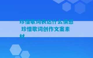 珍惜歌词表达什么情感 珍惜歌词创作文案素材