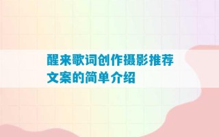 醒来歌词创作摄影推荐文案的简单介绍