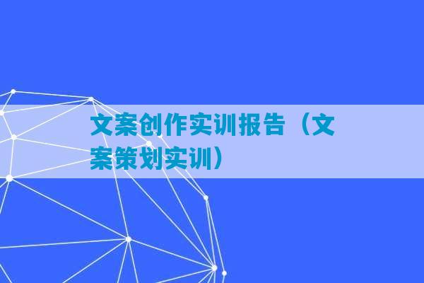 文案创作实训报告（文案策划实训）-第1张图片-臭鼬助手