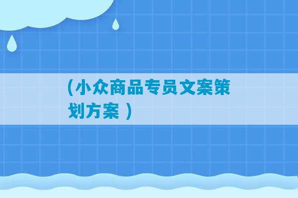 (小众商品专员文案策划方案 )-第1张图片-臭鼬助手