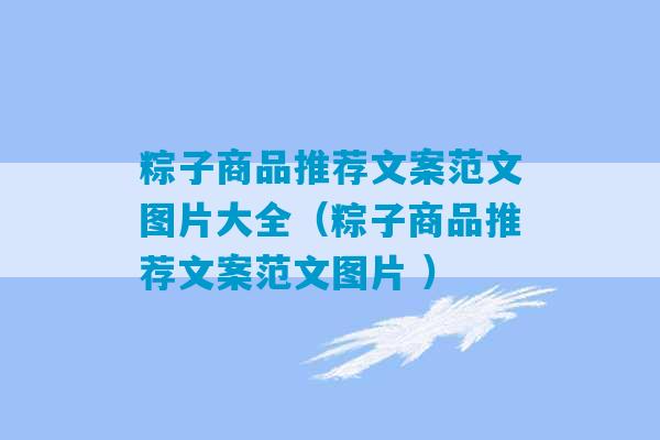 粽子商品推荐文案范文图片大全（粽子商品推荐文案范文图片 ）-第1张图片-臭鼬助手